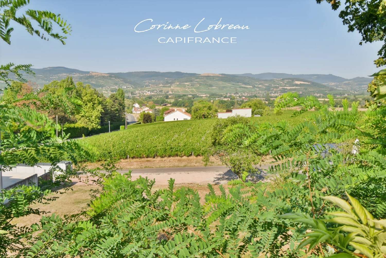 à vendre maison Charnay-lès-Mâcon Saône-et-Loire 1