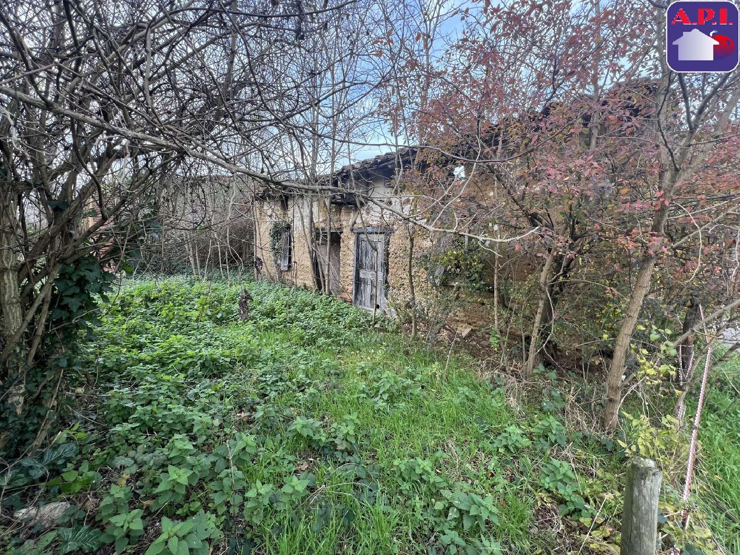  à vendre maison Cintegabelle Haute-Garonne 1