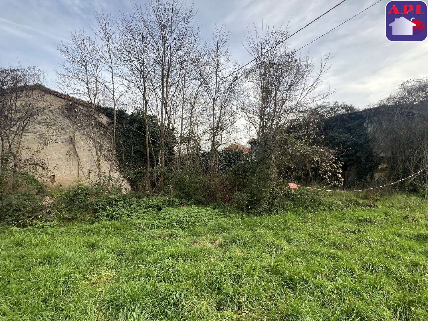  à vendre maison Cintegabelle Haute-Garonne 2