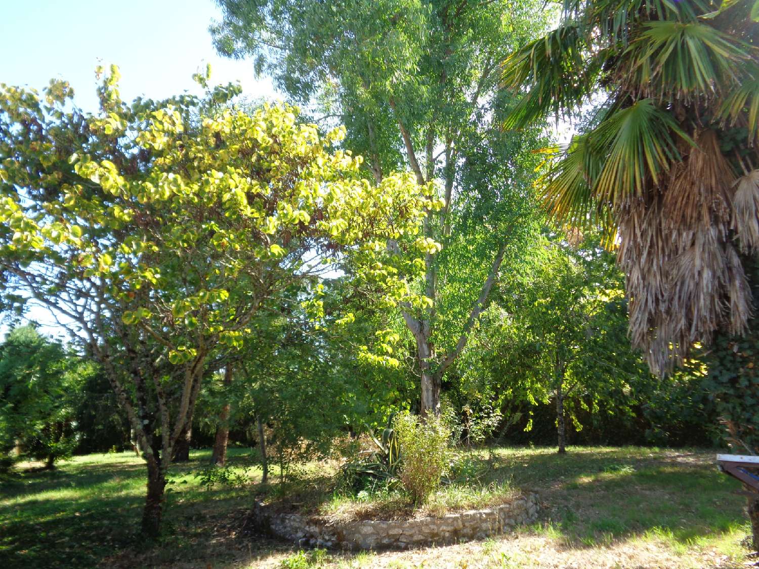  en venta casa Colombiers Charente-Maritime 8
