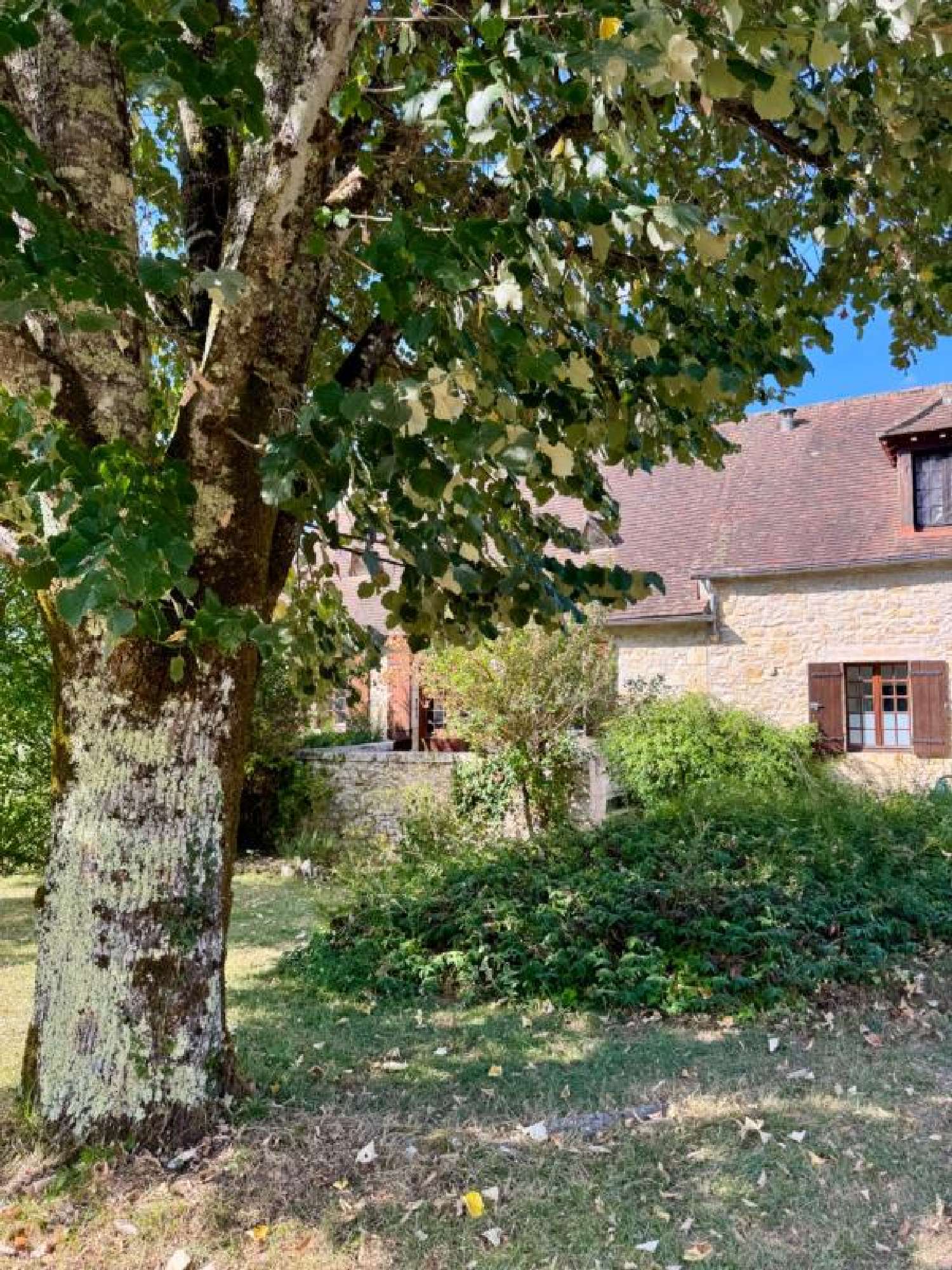  for sale house Coulaures Dordogne 3