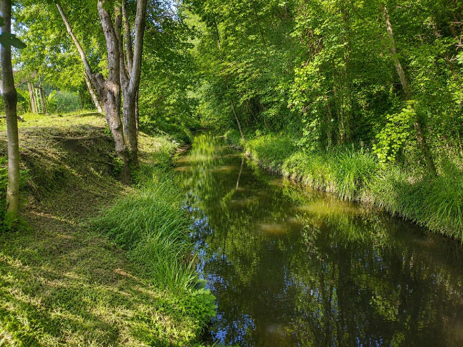 à vendre maison Cours-de-Pile Dordogne 4