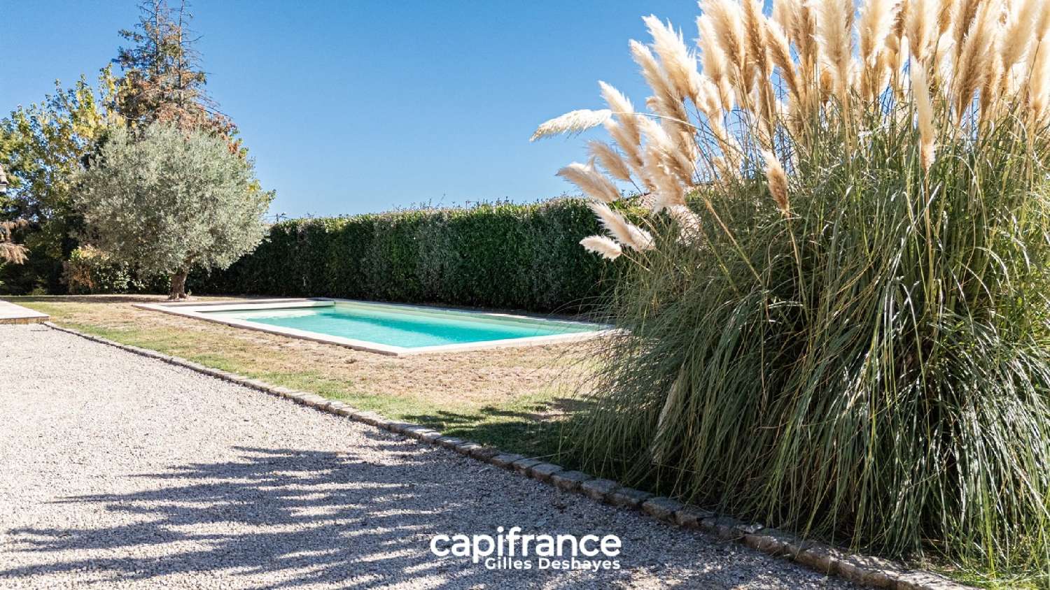 for sale house Cruzilles-lès-Mépillat Ain 4
