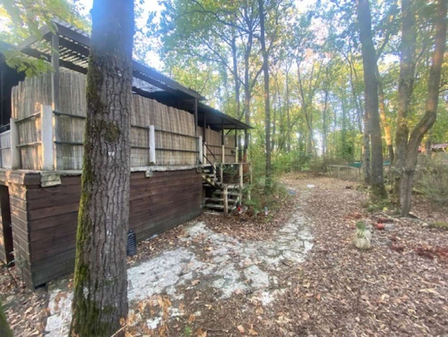 te koop huis Darvault Seine-et-Marne 6