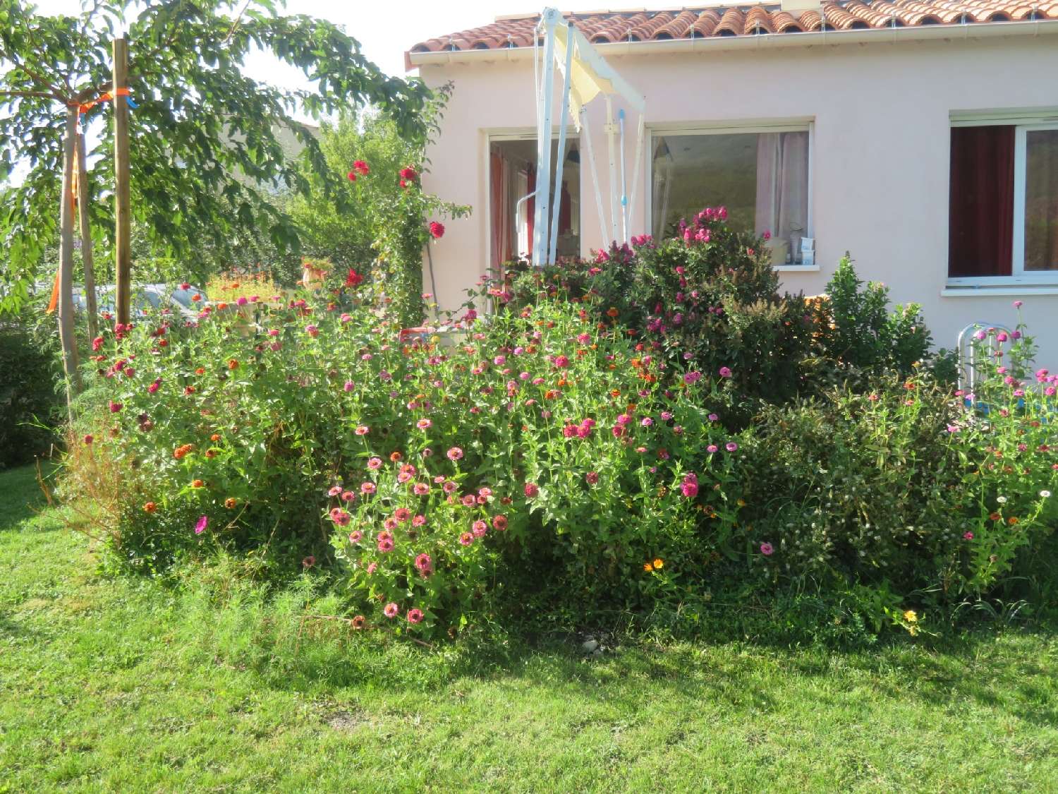 kaufen Haus Digne-Les-Bains Alpes-de-Haute-Provence 6