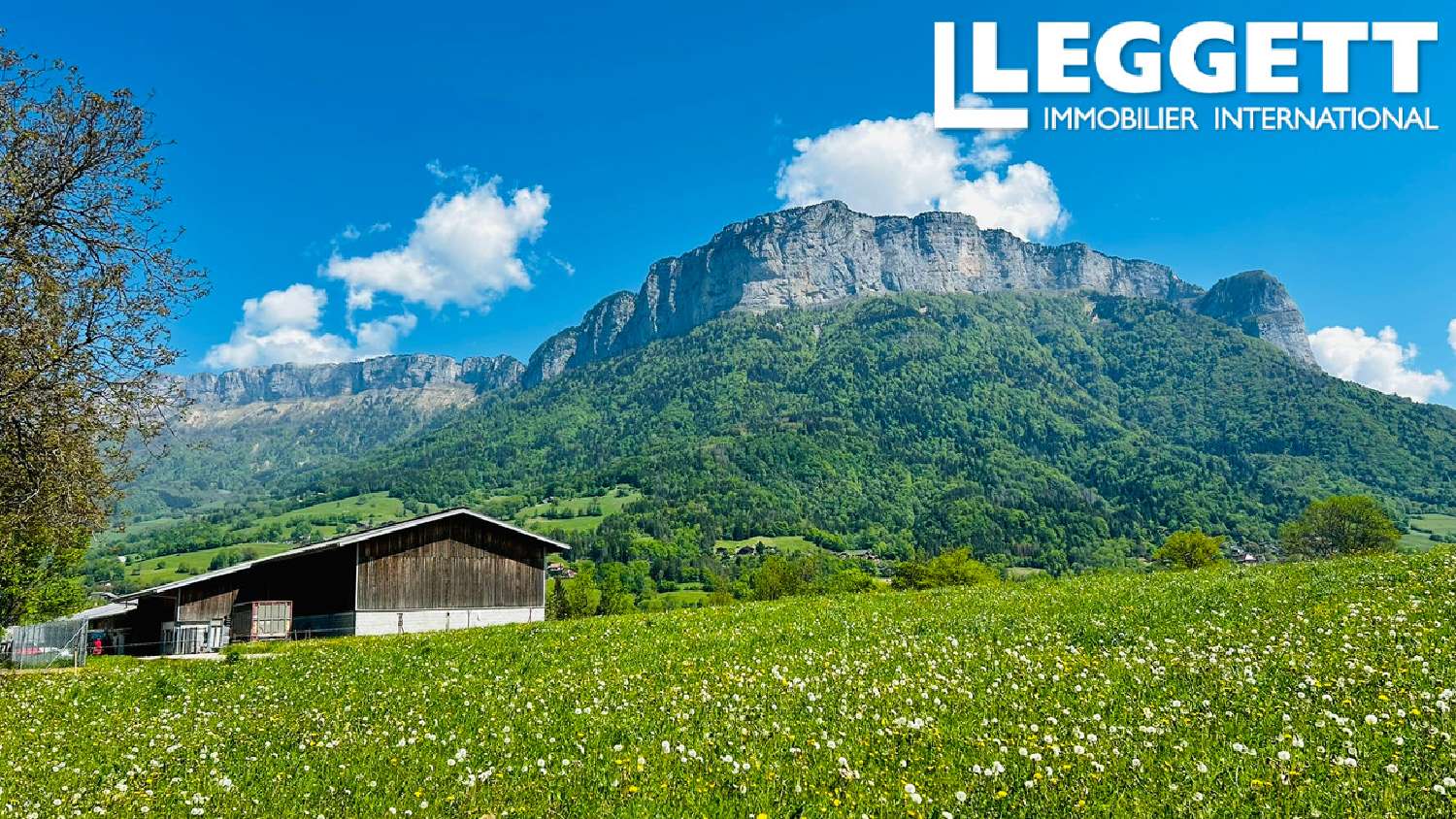  kaufen Haus Dingy-Saint-Clair Haute-Savoie 4