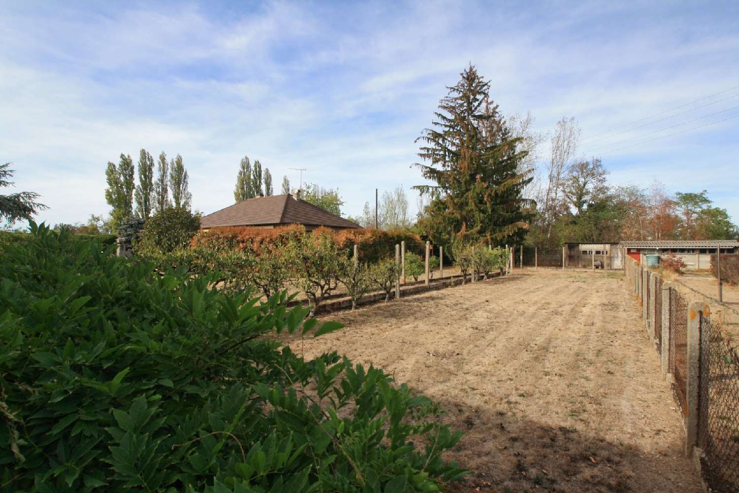 for sale house Dompierre-sur-Besbre Allier 6