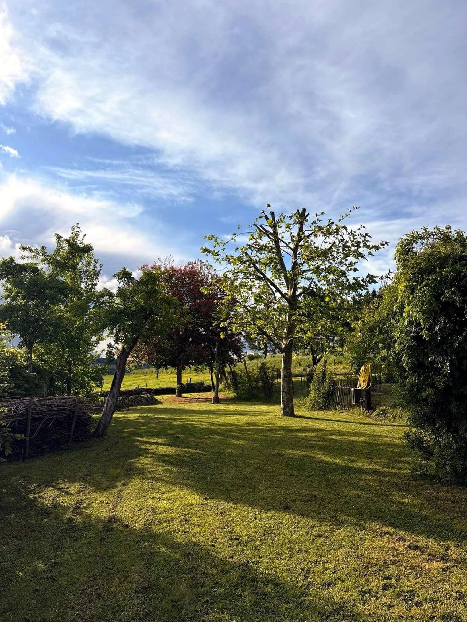  en venta casa Doncourt-sur-Meuse Haute-Marne 4