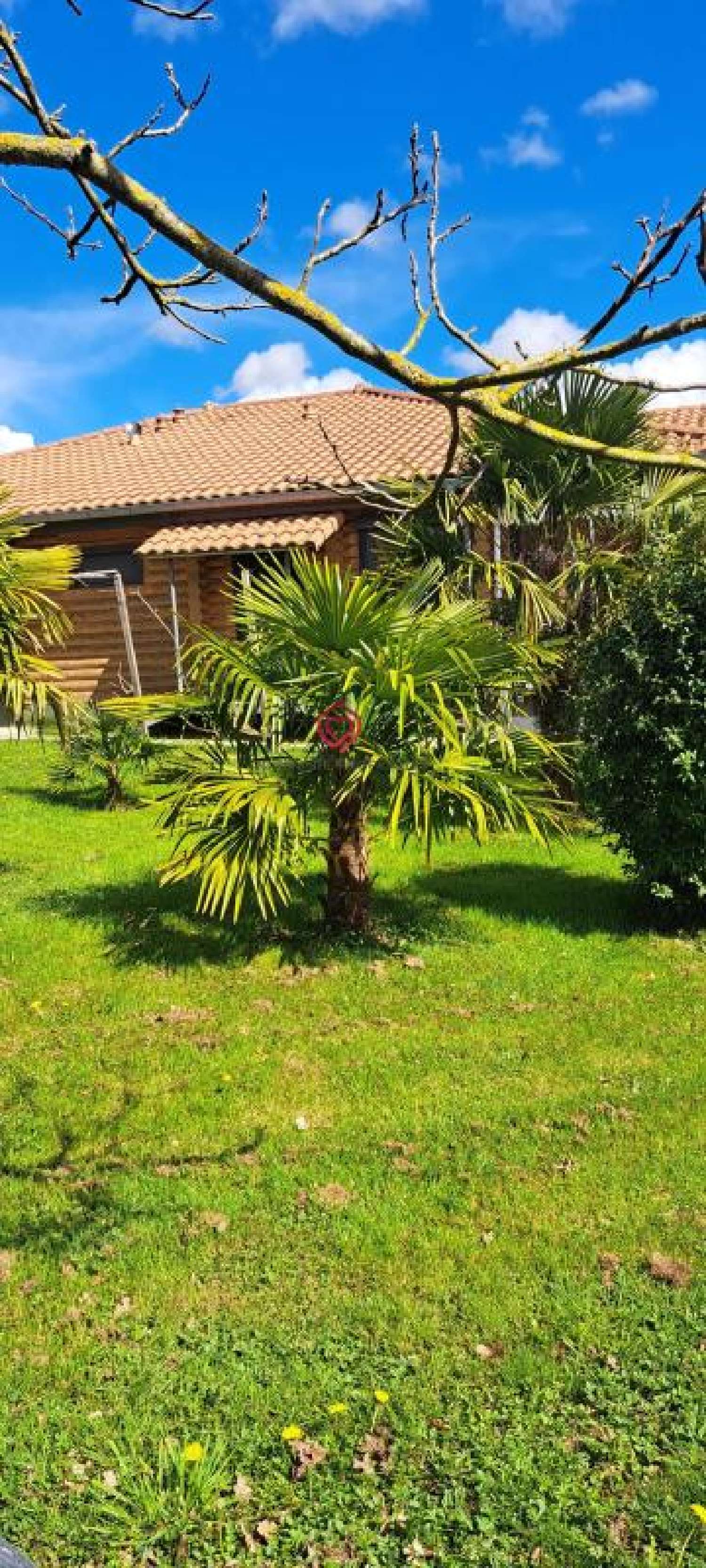  à vendre maison Duffort Gers 6