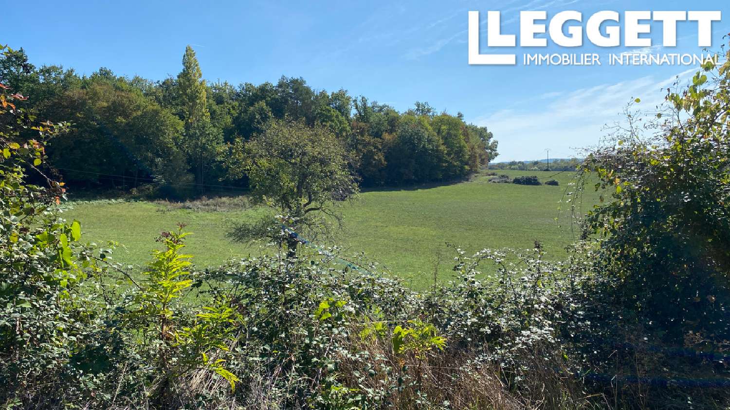 te koop huis Édon Charente 2