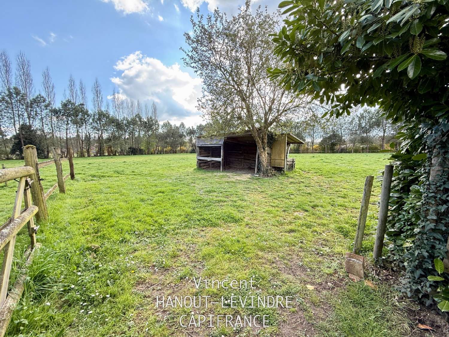 à vendre maison Étriché Maine-et-Loire 8
