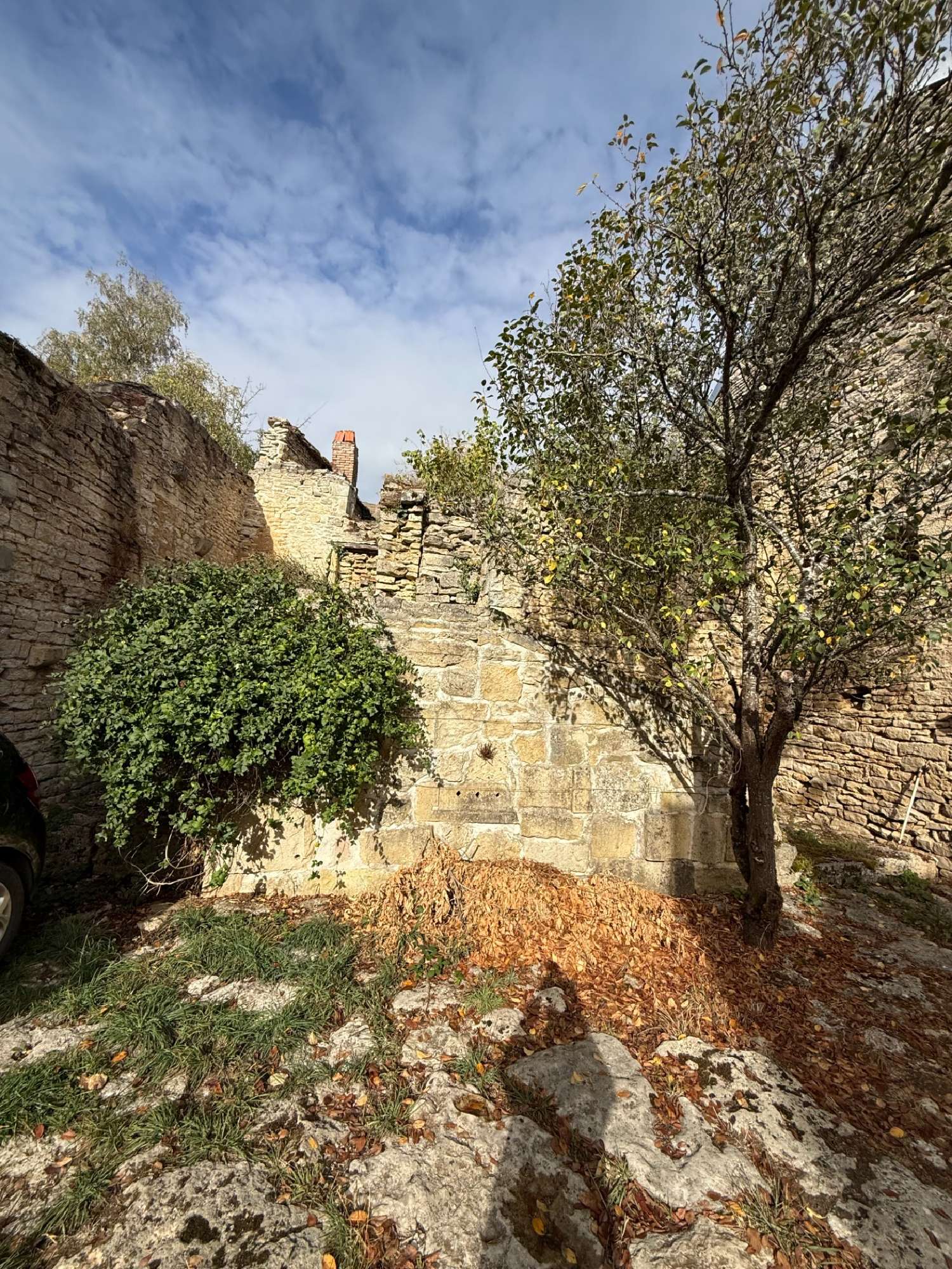 kaufen Haus Flavigny-sur-Ozerain Côte-d'Or 5