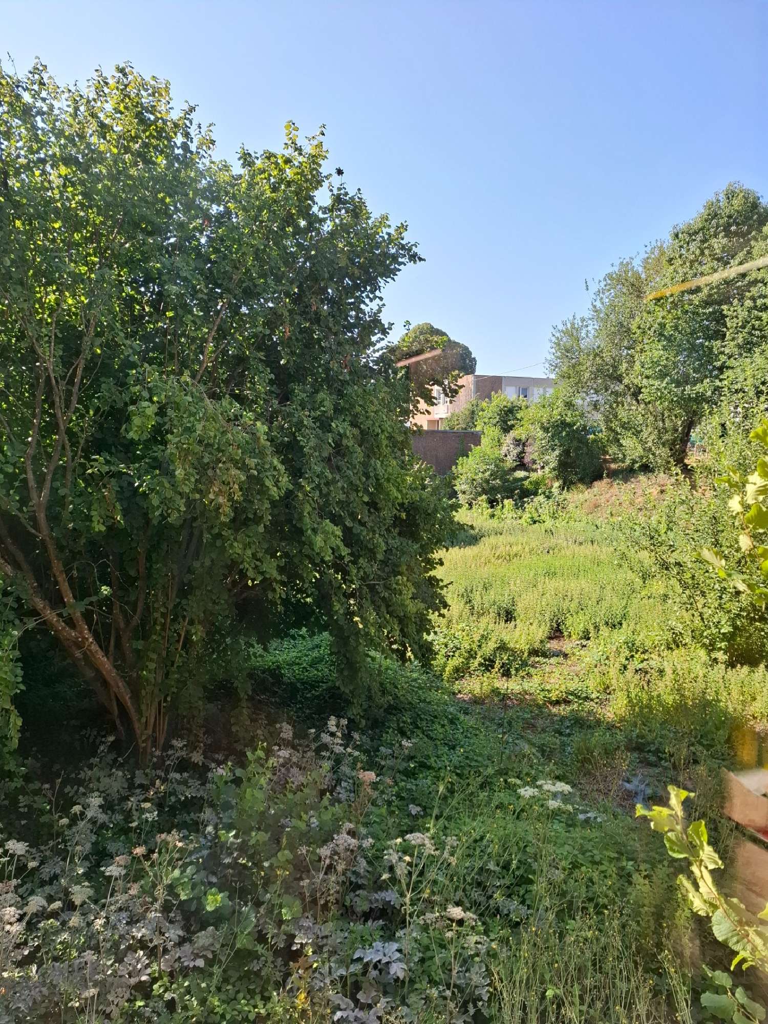 en venta casa Flers Orne 8