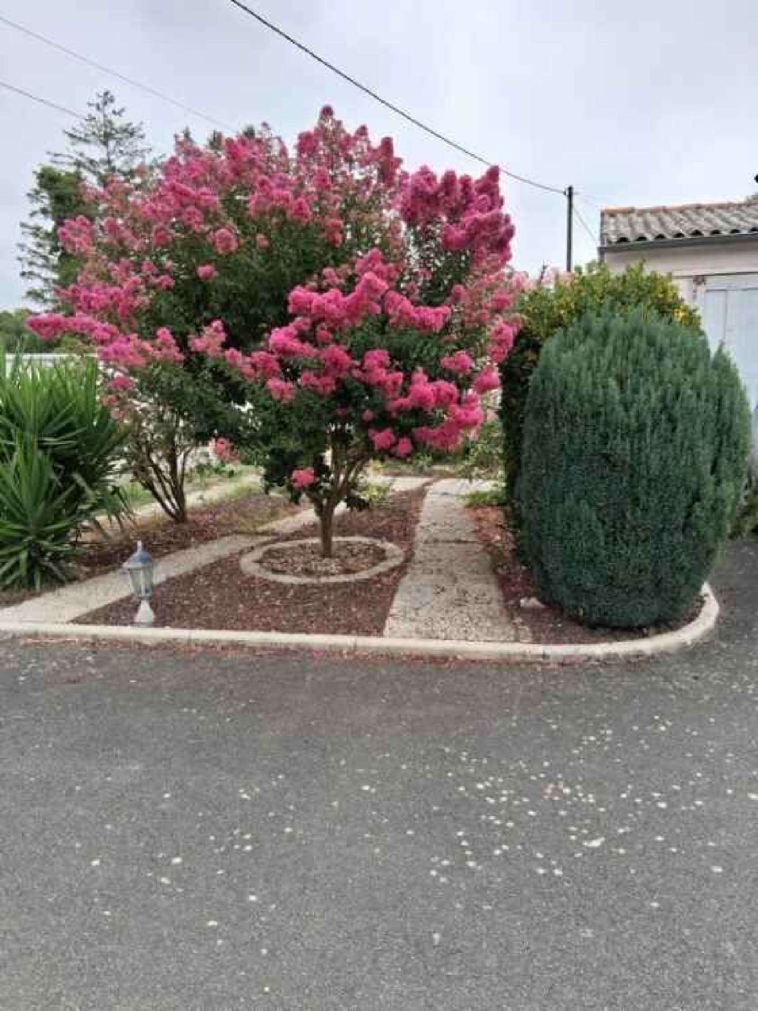  à vendre maison Fontenay-le-Comte Vendée 2