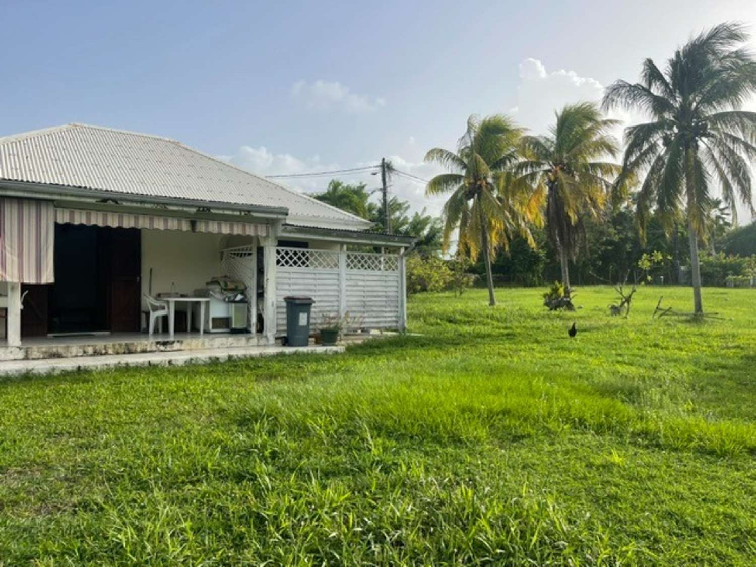  for sale house Goyave Guadeloupe 5