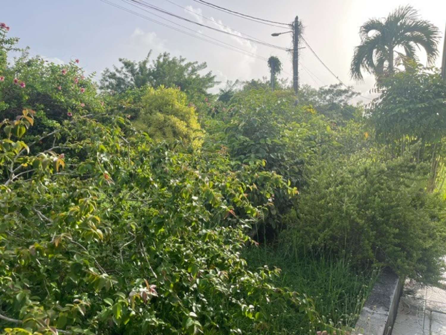  for sale house Goyave Guadeloupe 6