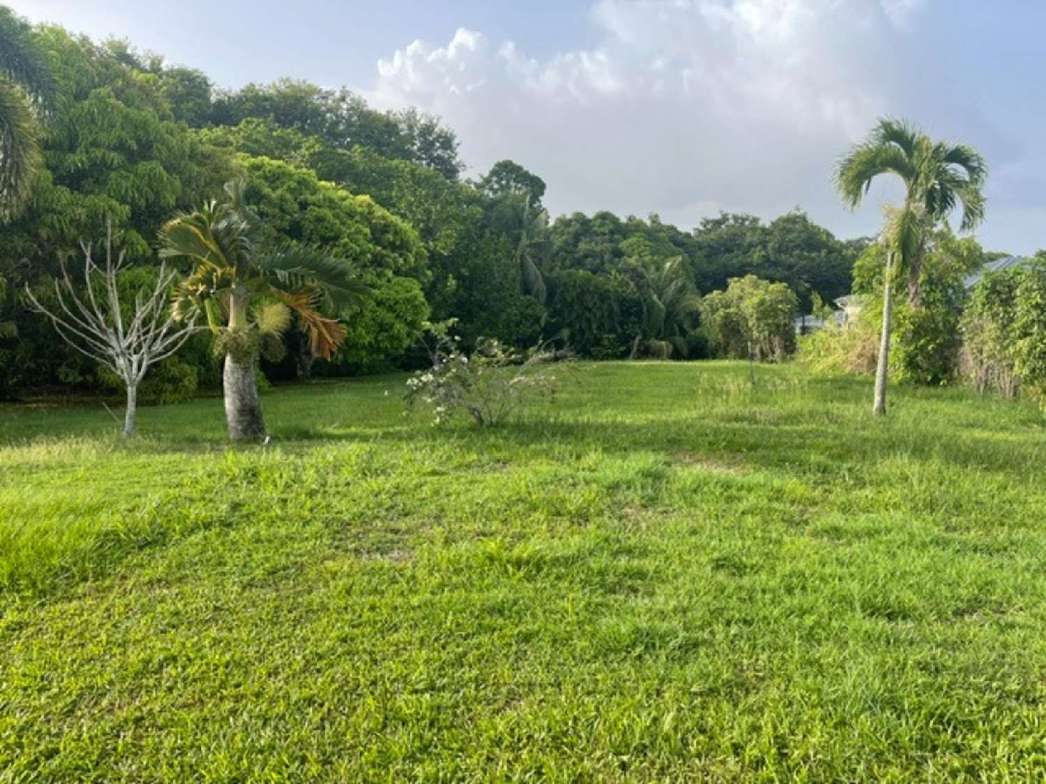 for sale house Goyave Guadeloupe 8
