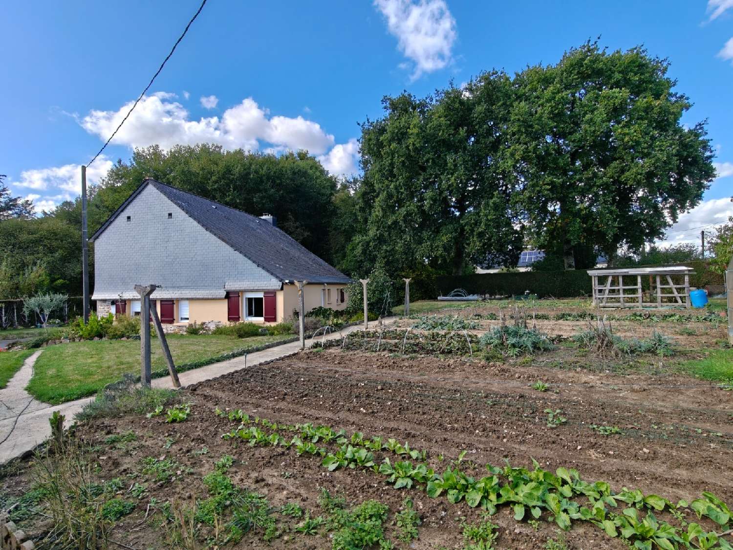  kaufen Haus Irodouër Ille-et-Vilaine 3