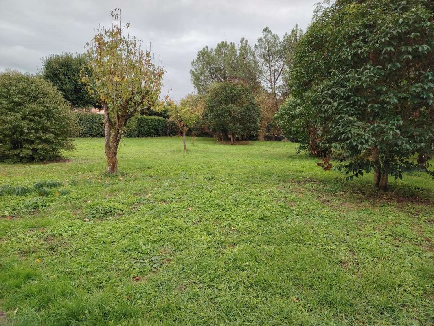 kaufen Haus Jardres Vienne 3