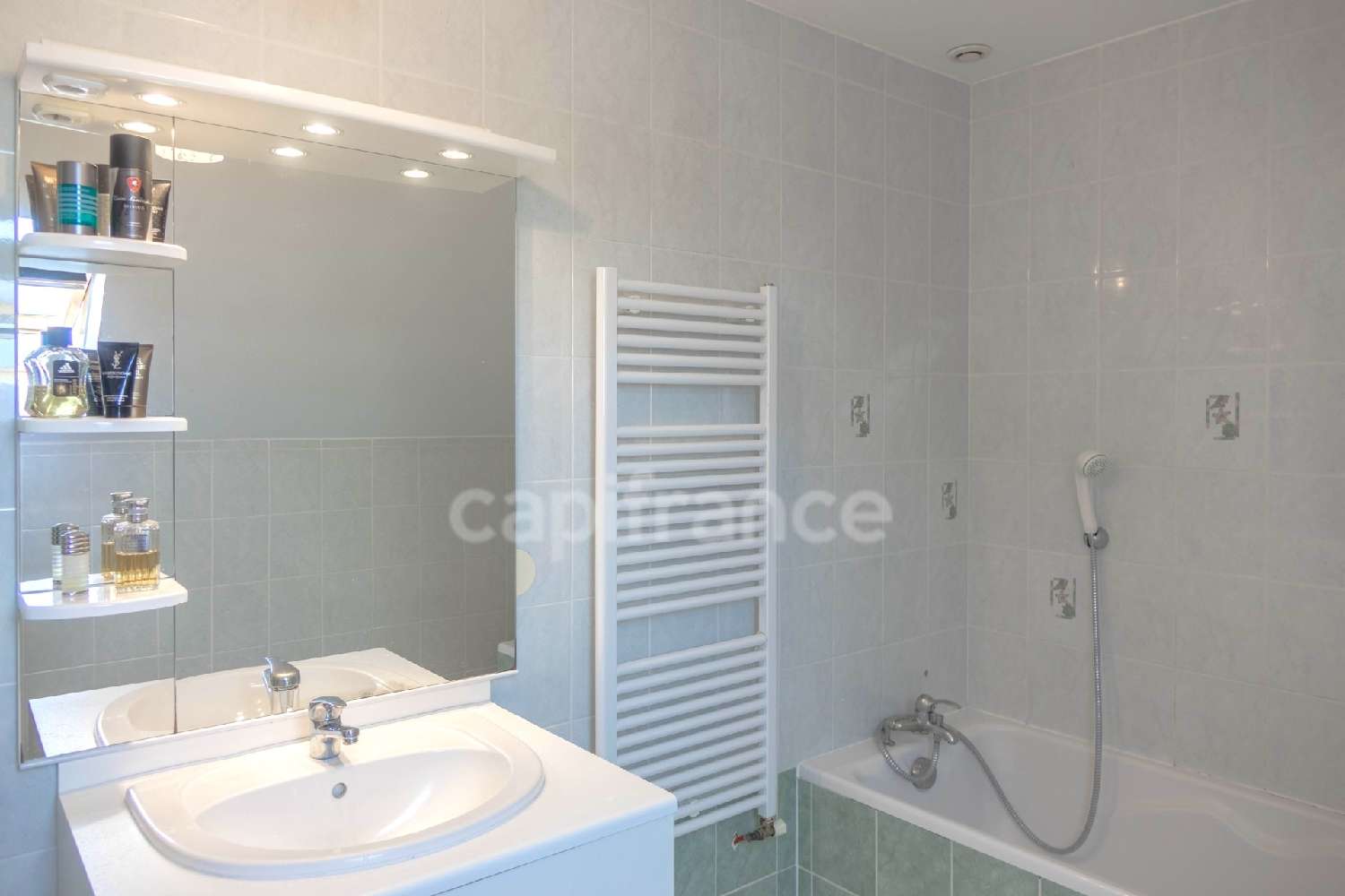 for sale house Jargeau Loiret 5