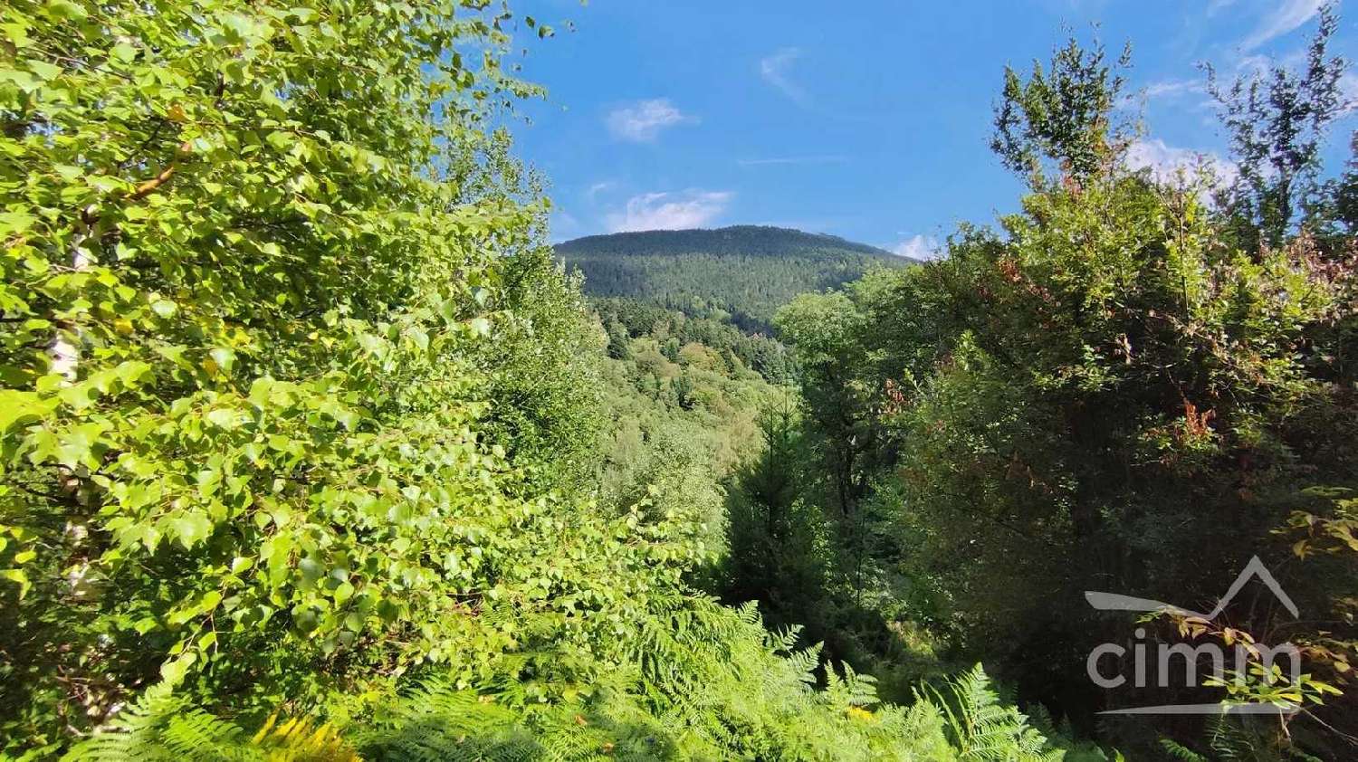 for sale house Job Puy-de-Dôme 2