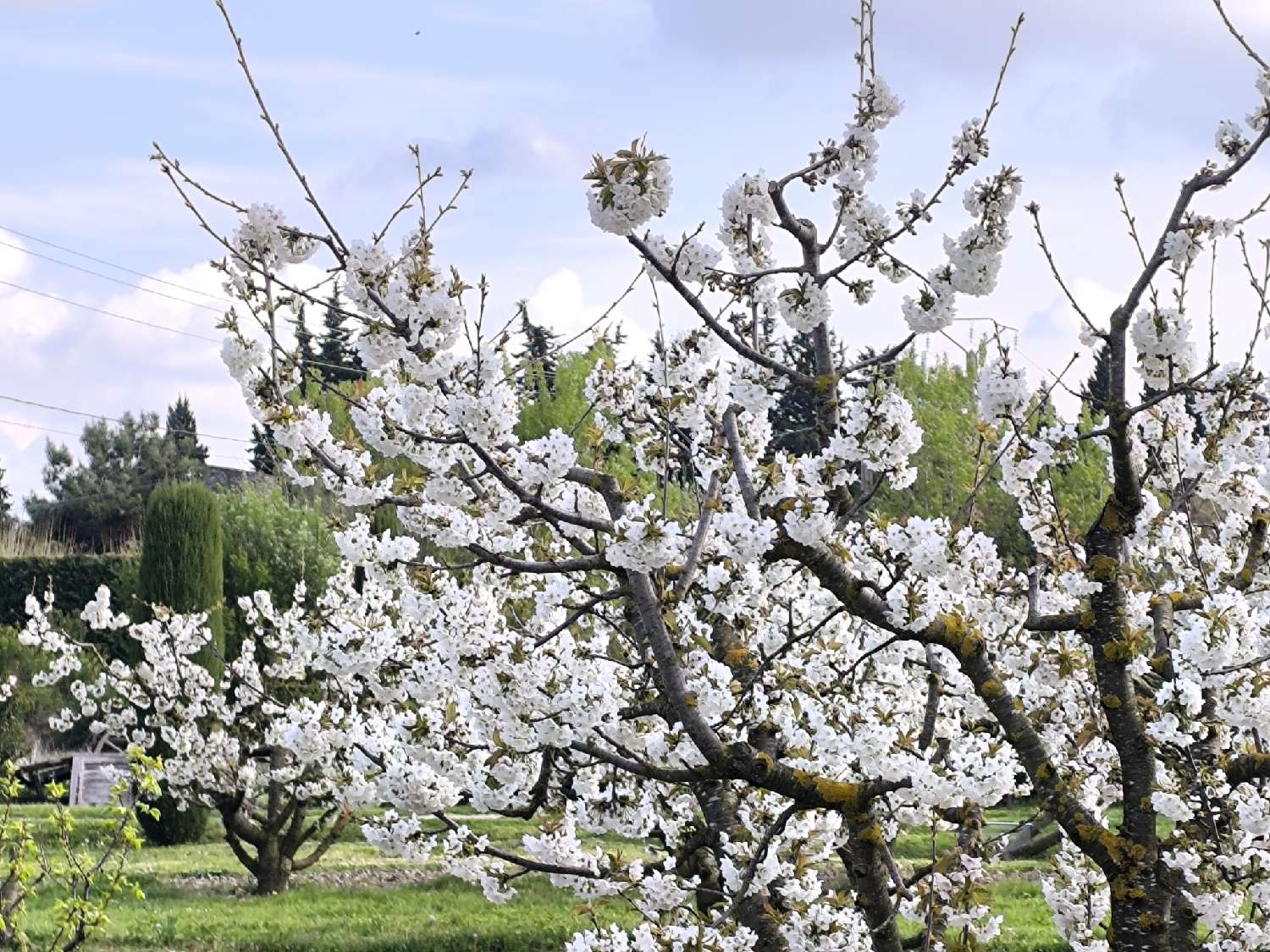 en venta casa L'Isle-sur-la-Sorgue Vaucluse 1