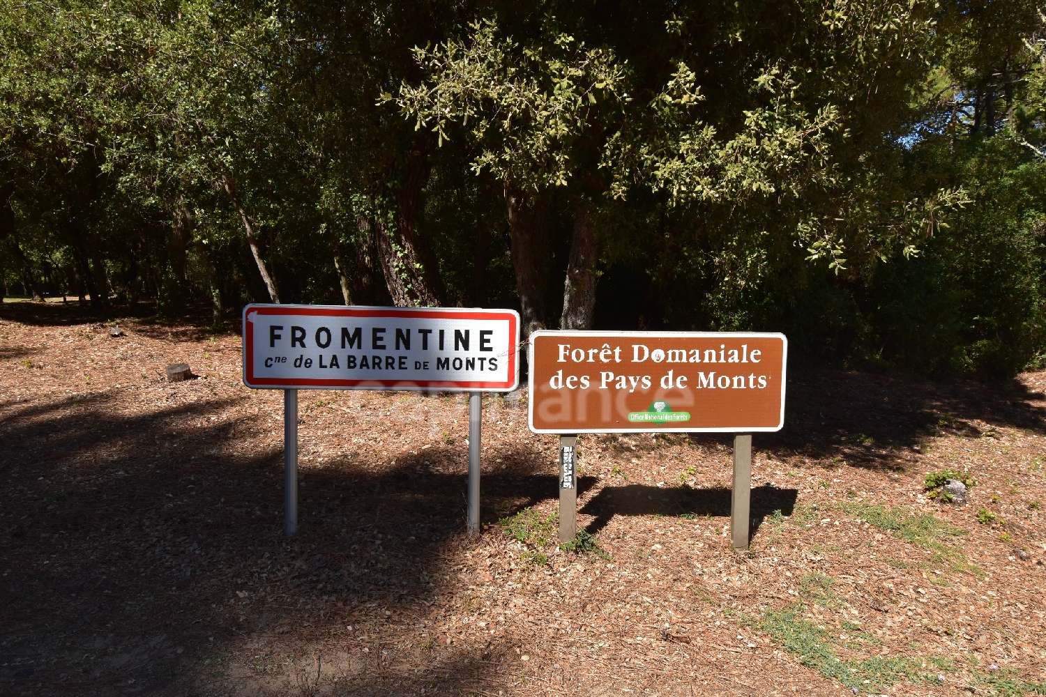 te koop huis La Barre-de-Monts Vendée 3