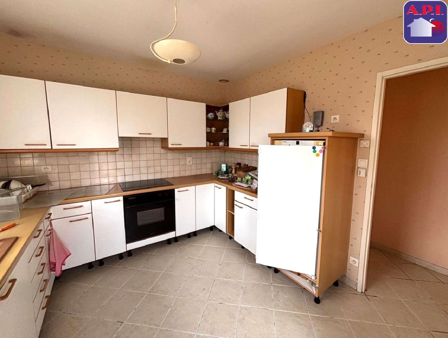 à vendre maison La Bastide-de-Bousignac Ariège 3