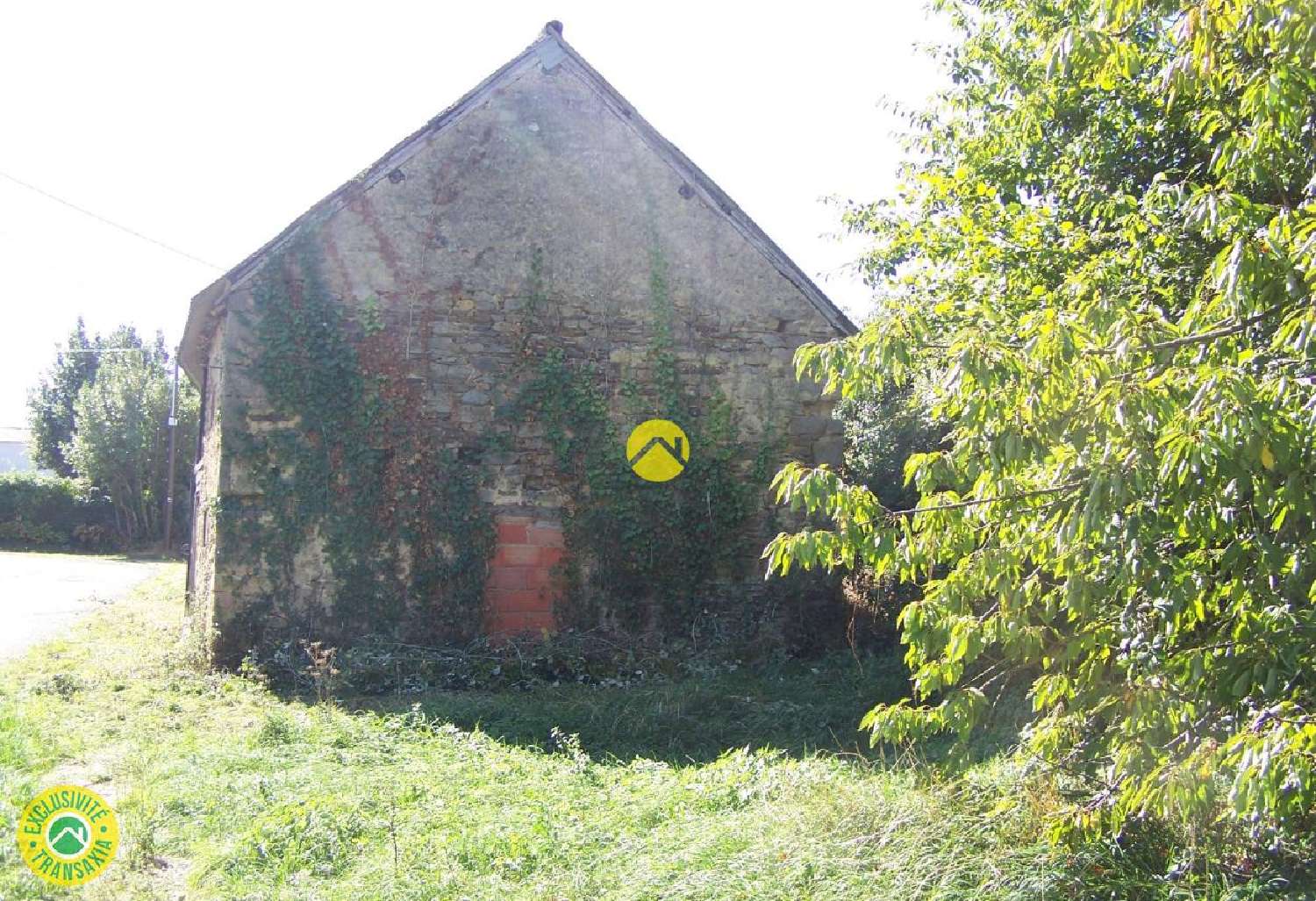 à vendre maison La Buxerette Indre 4