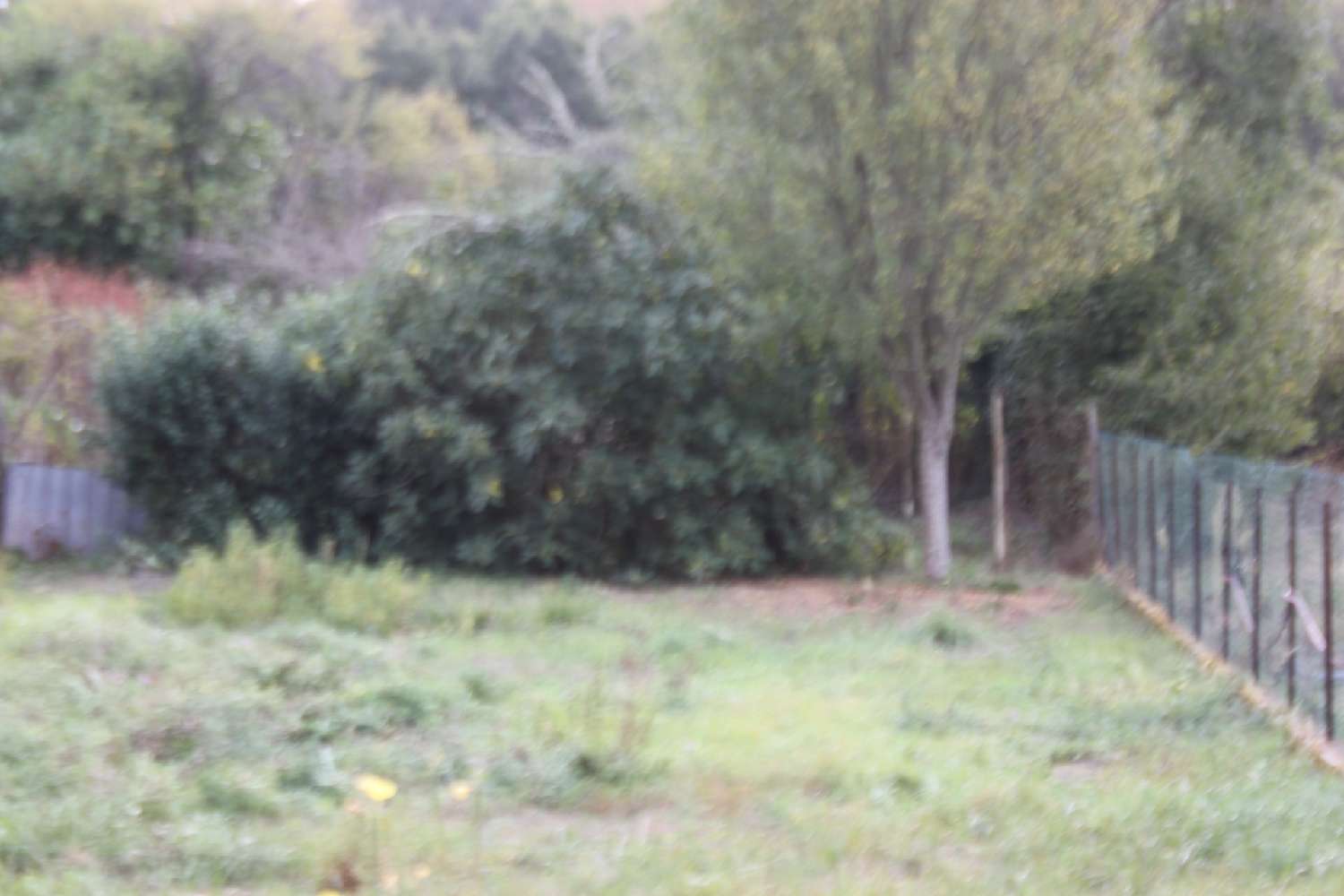 for sale house La Chapelle-Taillefert Creuse 8