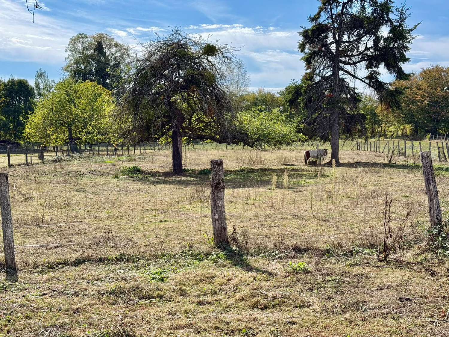 for sale house La Côte Haute-Saône 5