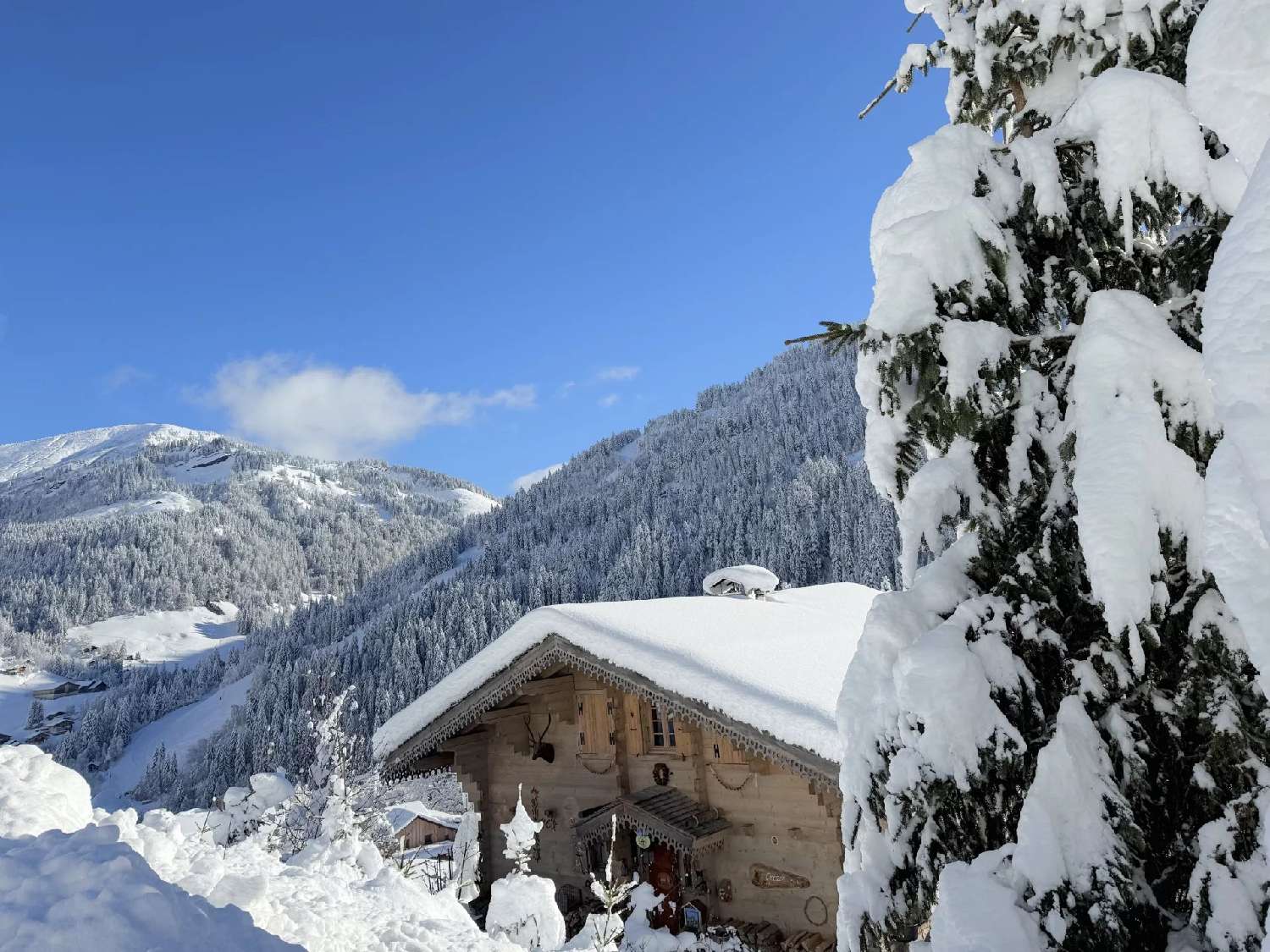 for sale house La Giettaz Savoie 4