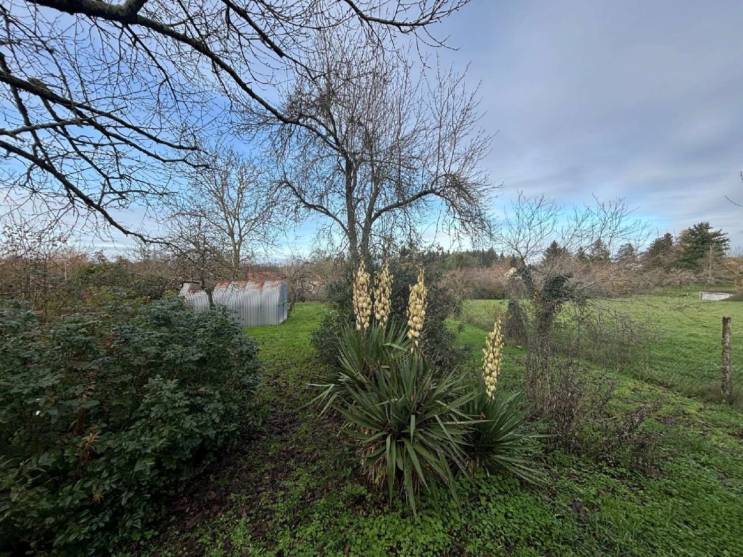 for sale house La Guerche-sur-l'Aubois Cher 3