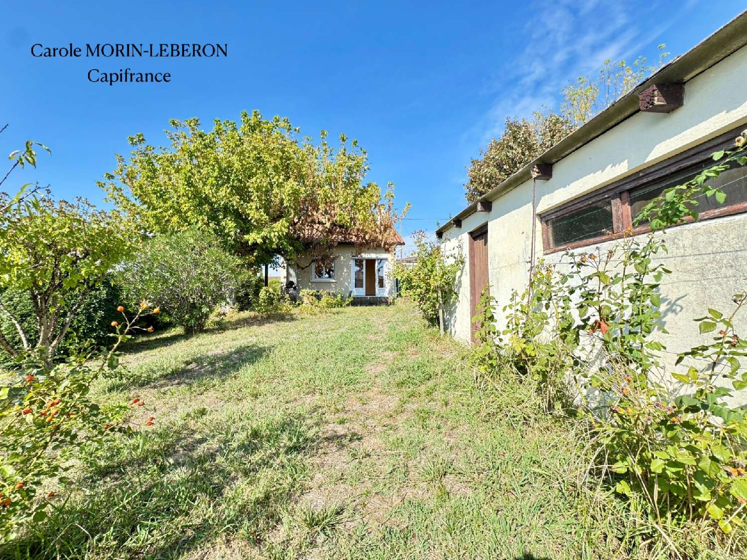 kaufen Haus La Réole Gironde 1