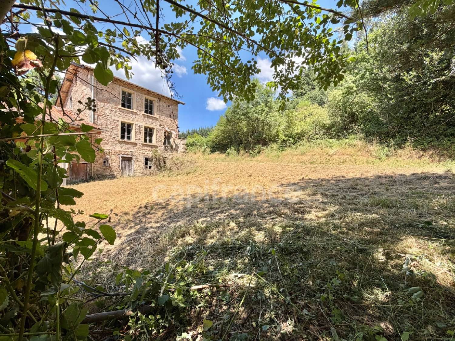 kaufen Haus La Tuilière Loire 1