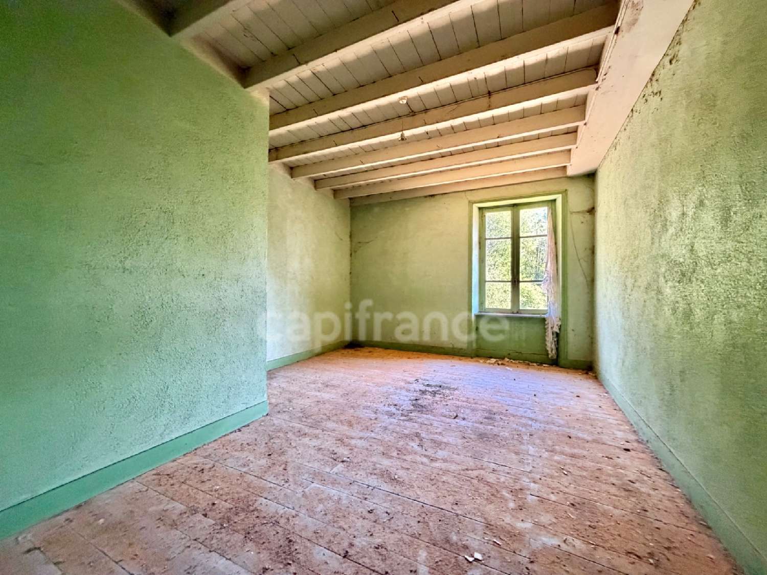 kaufen Haus La Tuilière Loire 7