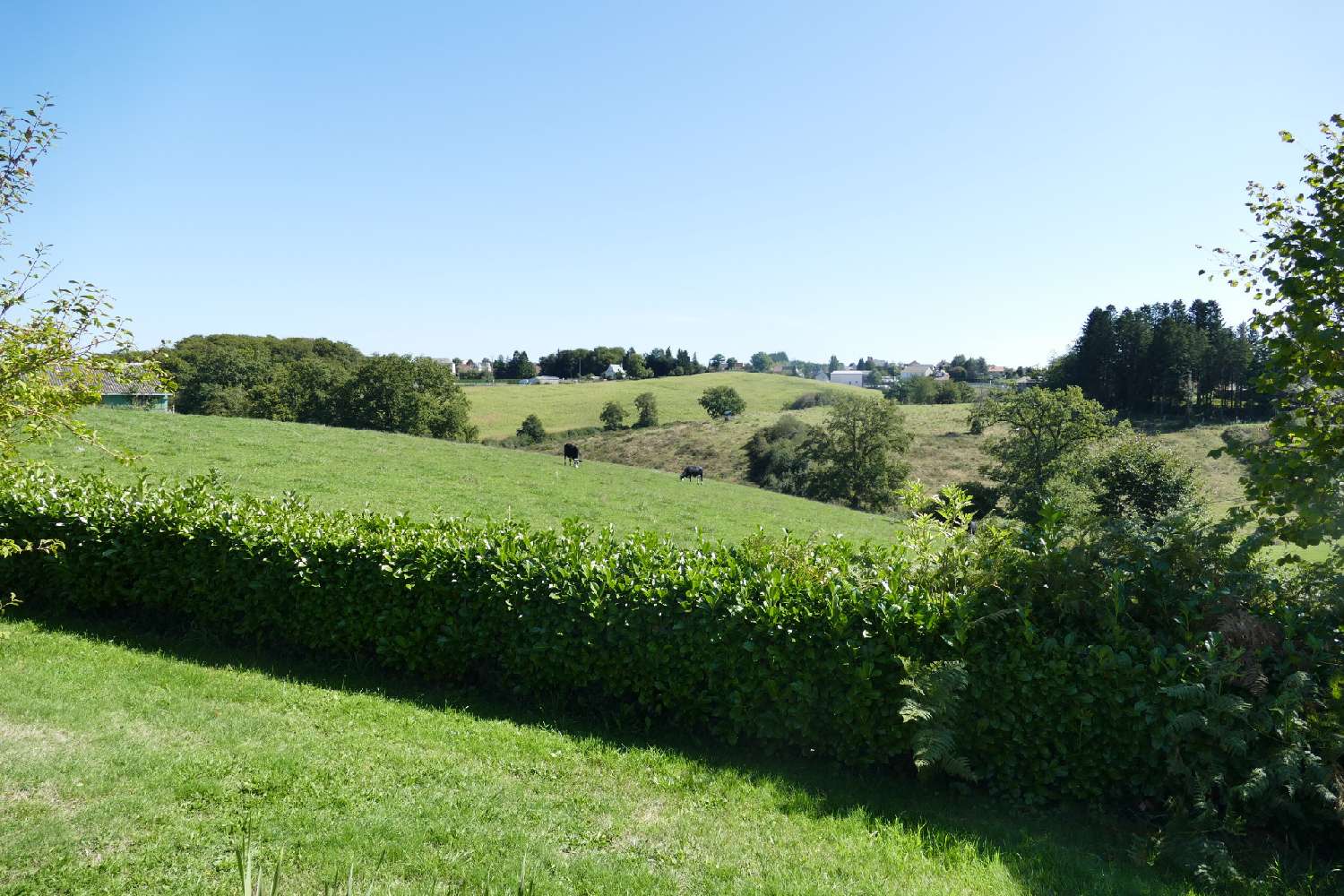 à vendre maison Lafeuillade-en-Vézie Cantal 5