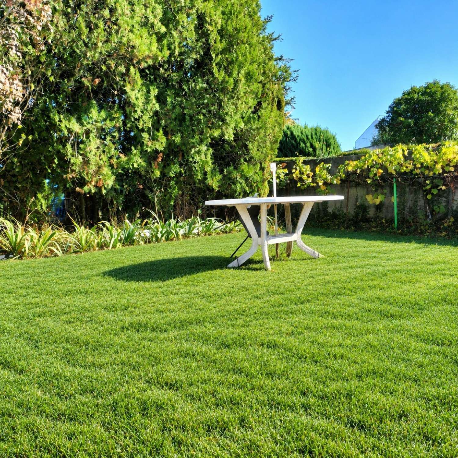 for sale house Lanester Morbihan 3