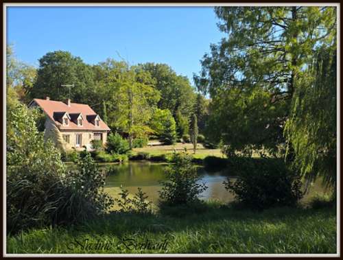 Langesse Loiret house foto 7420255