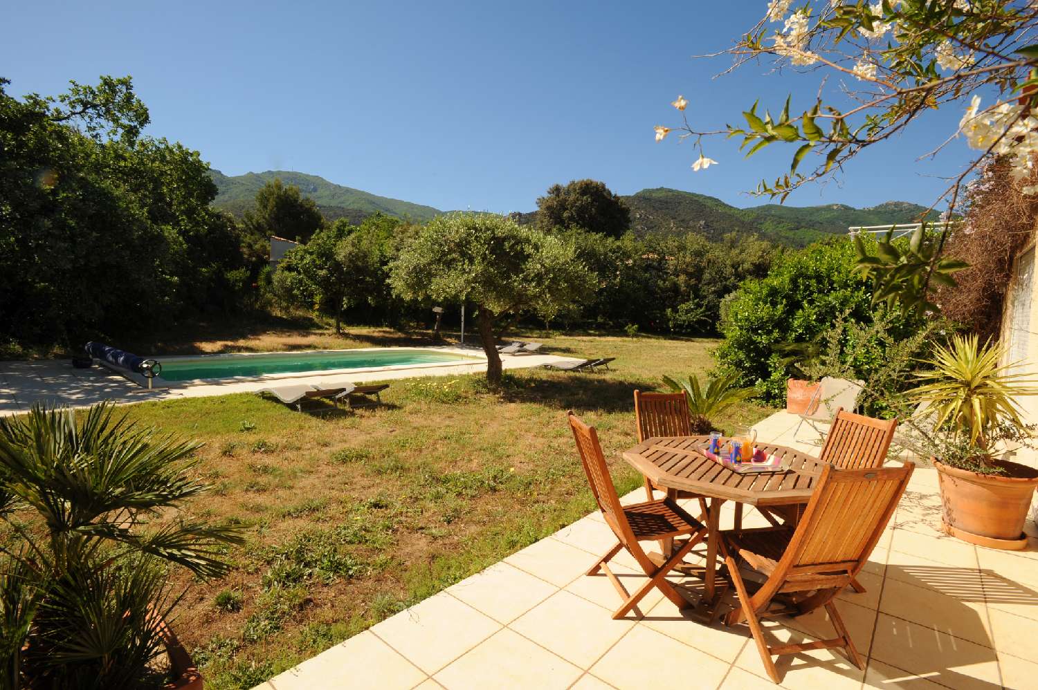  à vendre maison Laroque-des-Albères Pyrénées-Orientales 2