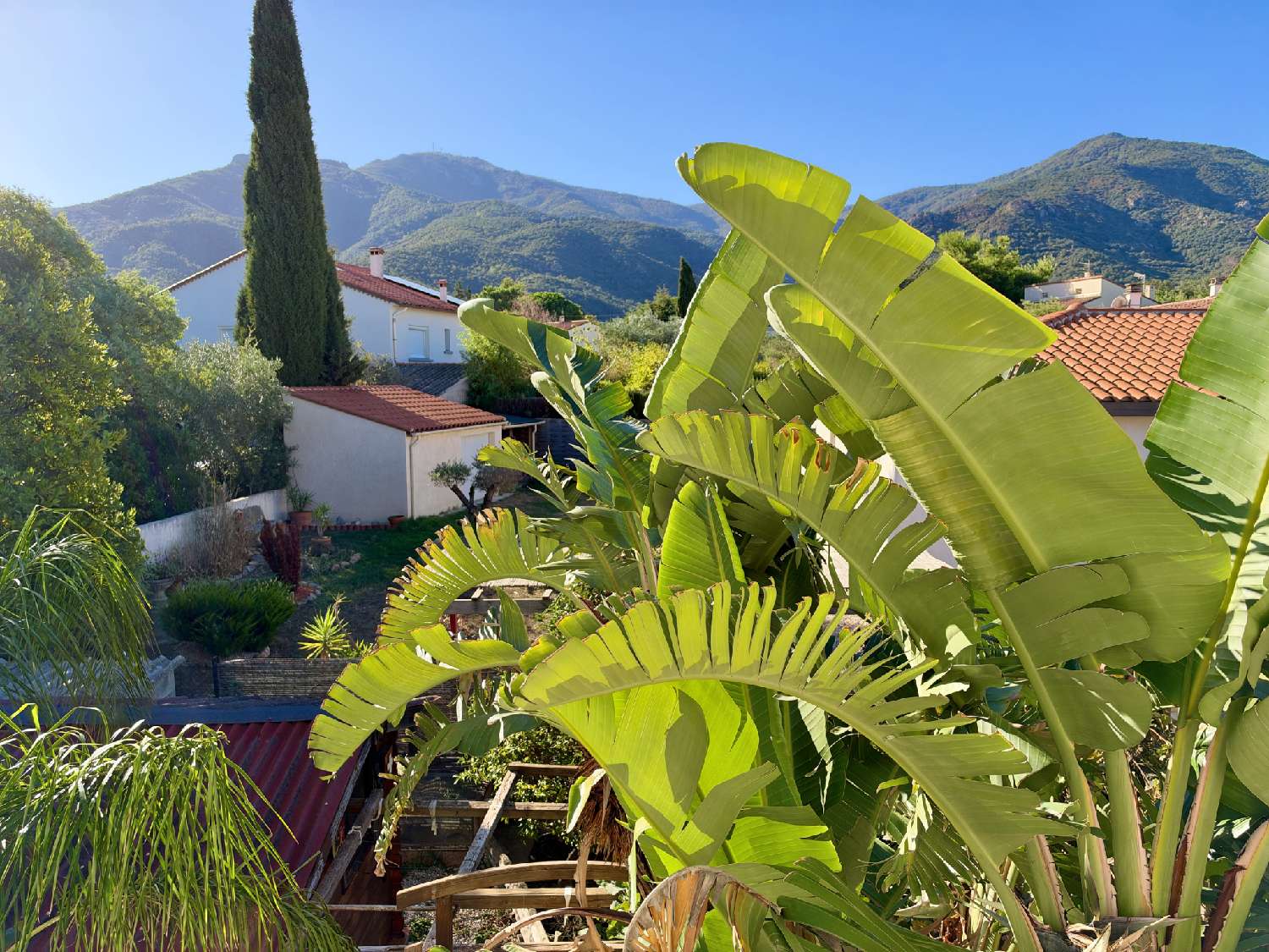 à vendre maison Laroque-des-Albères Pyrénées-Orientales 1