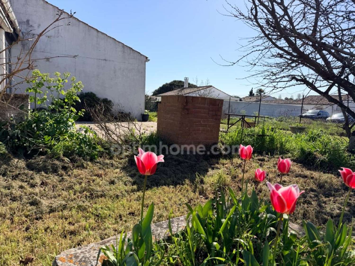  te koop huis Le Bois-Plage-en-Ré Charente-Maritime 7