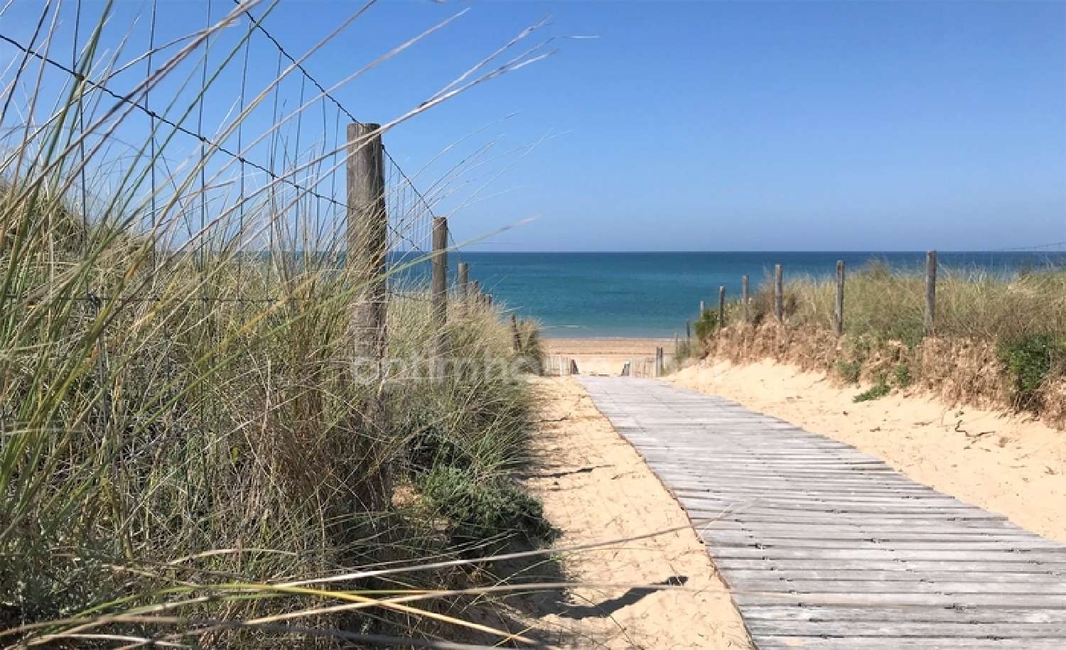 for sale house Le Bois-Plage-en-Ré Charente-Maritime 3