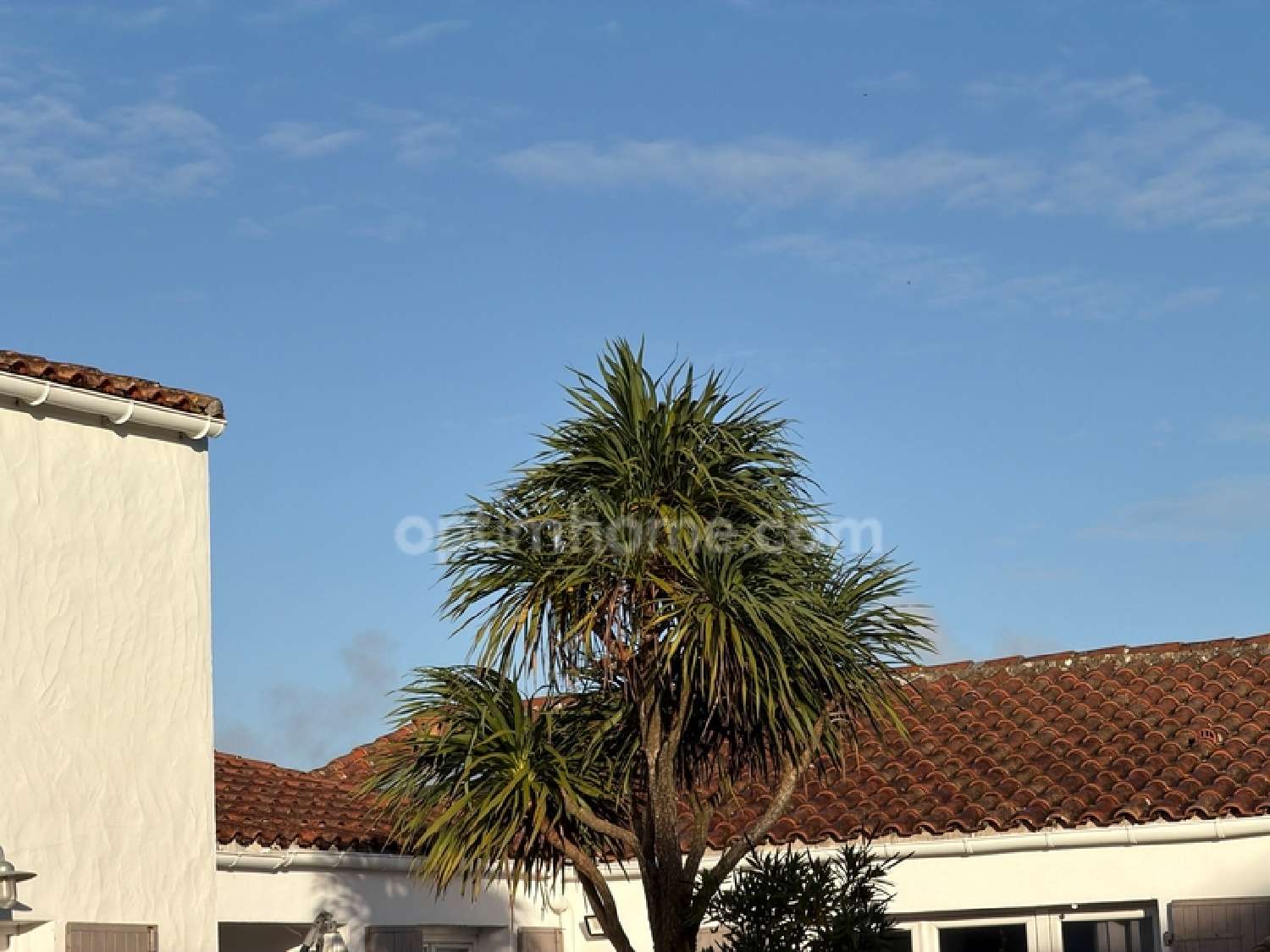 for sale house Le Bois-Plage-en-Ré Charente-Maritime 4