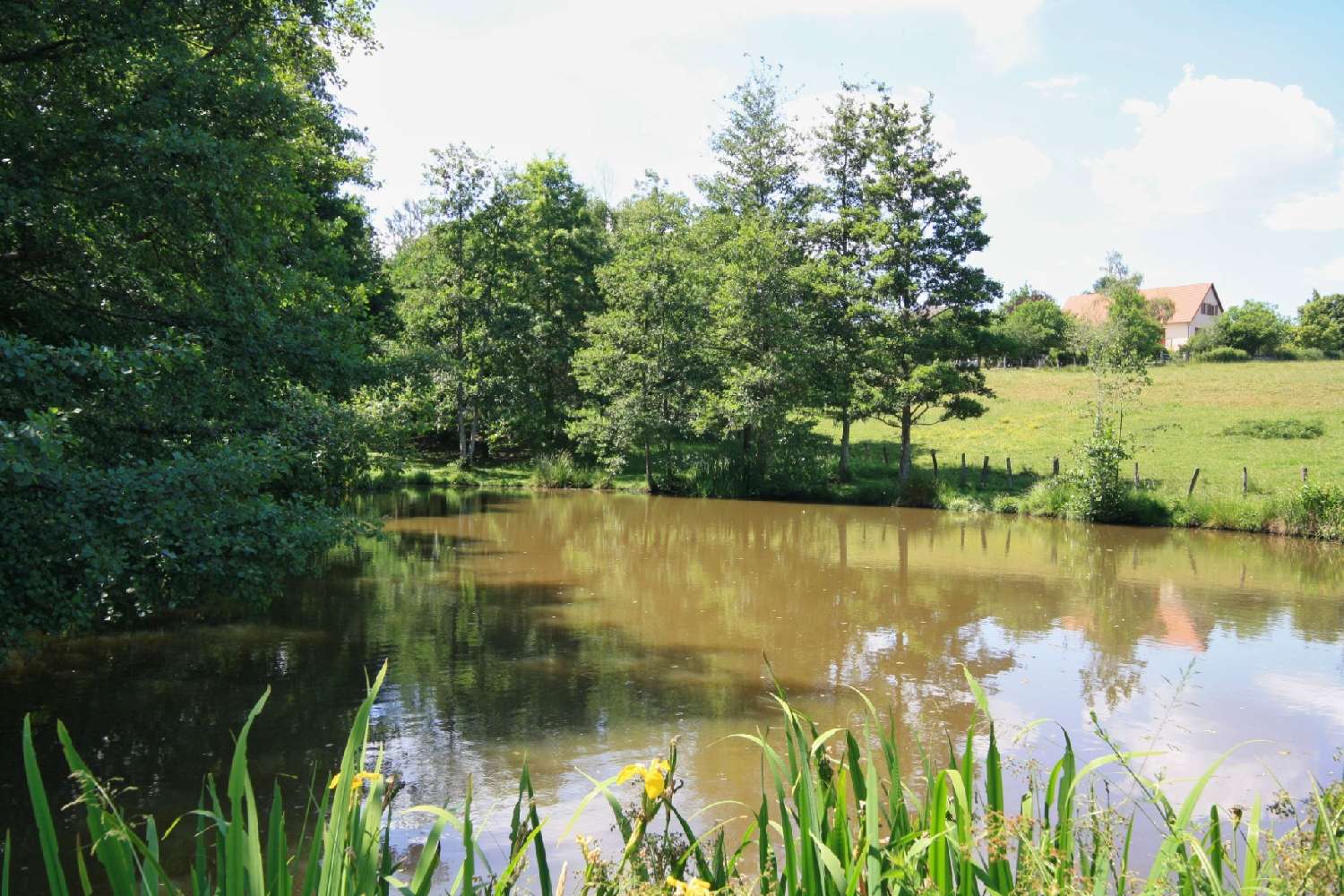 for sale house Le Donjon Allier 2