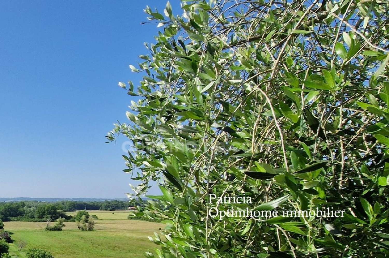 for sale house Le Fleix Dordogne 6