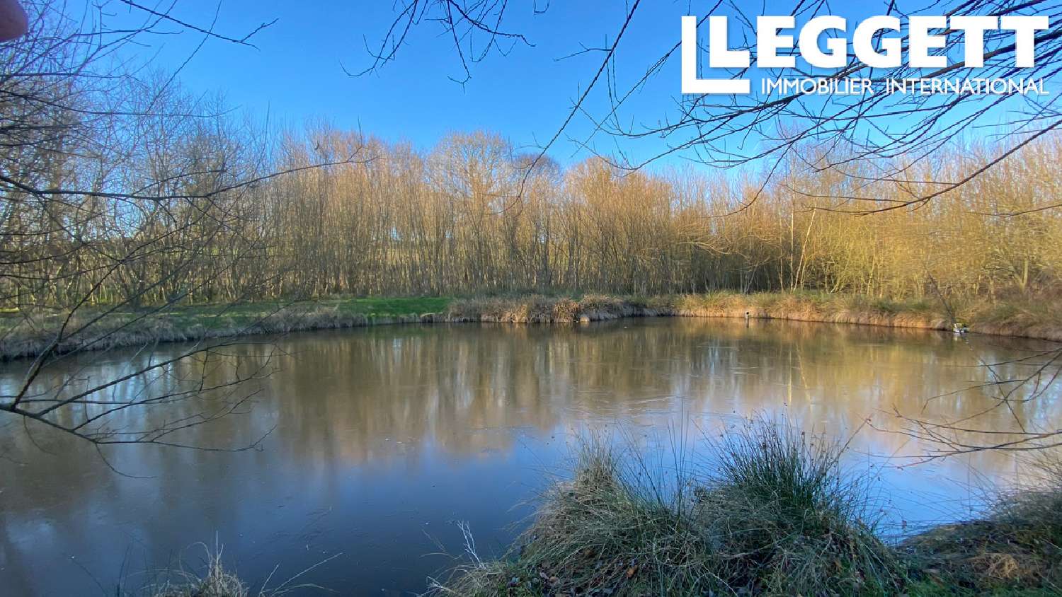  for sale house Le Neufbourg Manche 2
