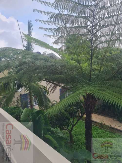 Le Tampon La Réunion Haus Bild 7429559