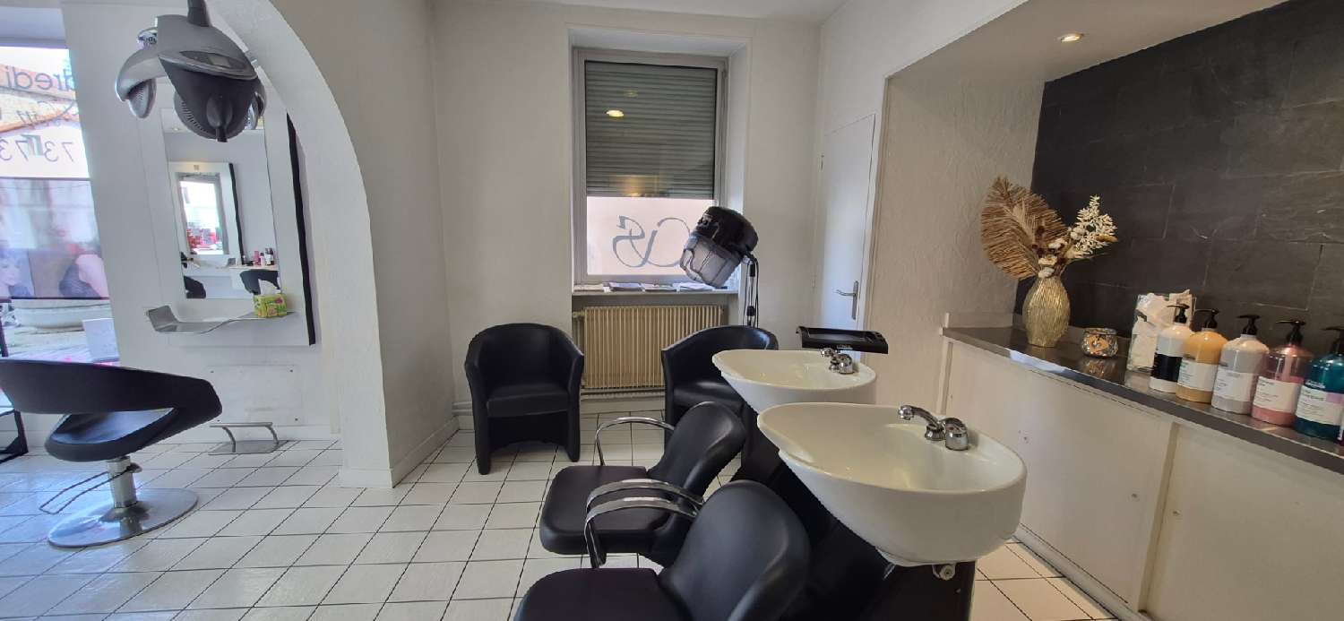te koop huis Lezoux Puy-de-Dôme 4
