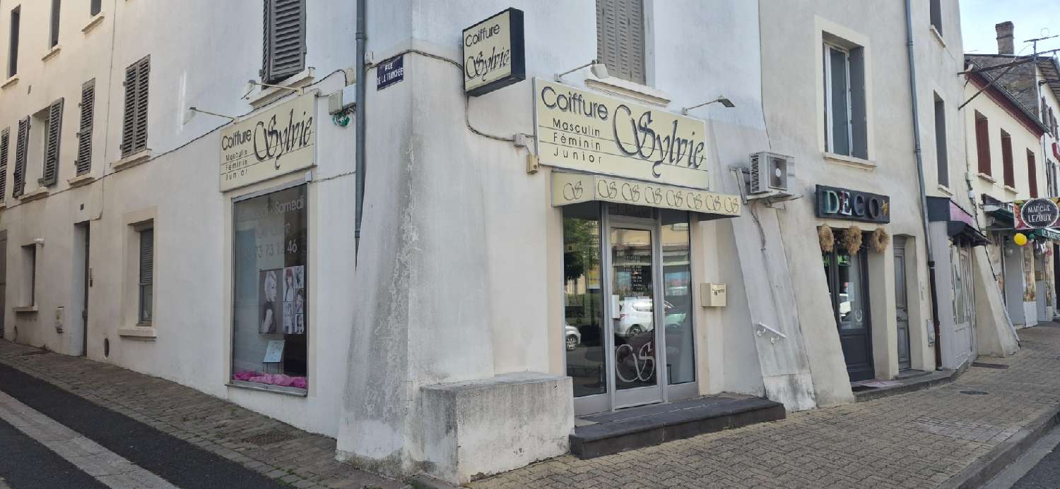 te koop huis Lezoux Puy-de-Dôme 6